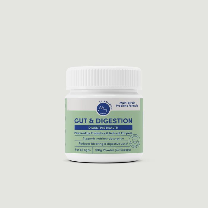 Gut & Digestion