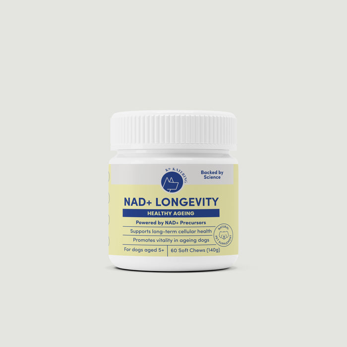 NAD+ Longevity
