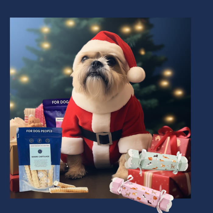 Christmas Gift Ideas For Your Dog