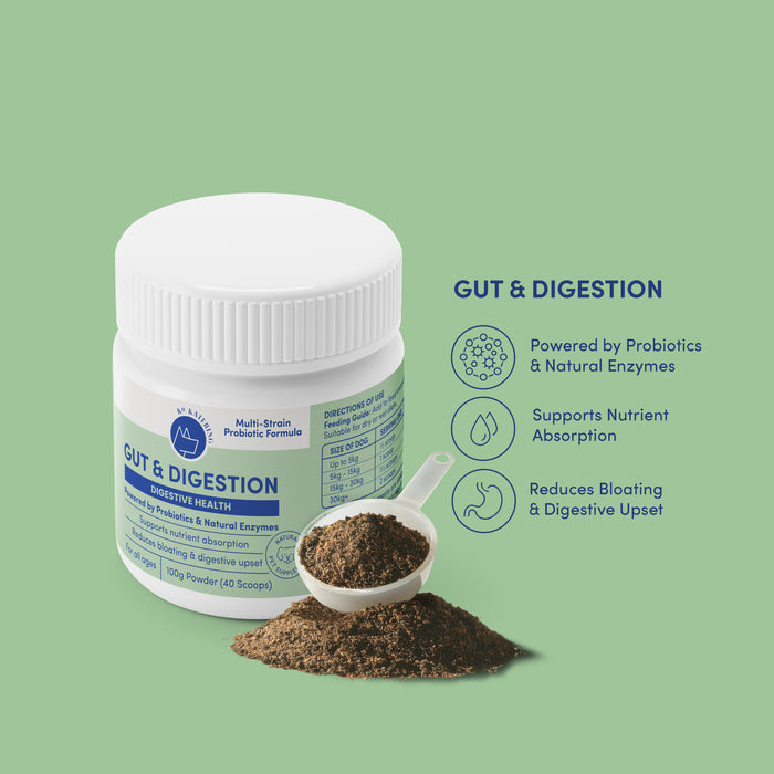 Gut & Digestion