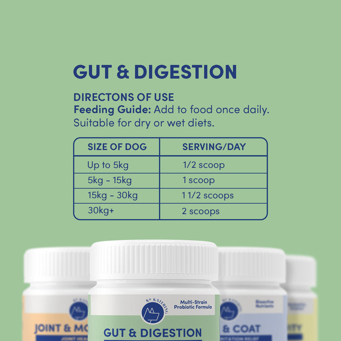 Gut & Digestion