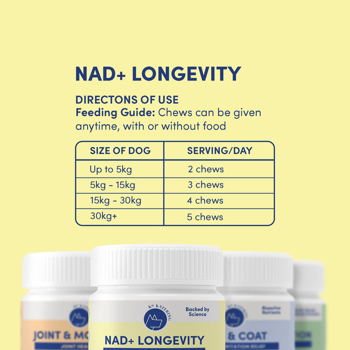 NAD+ Longevity