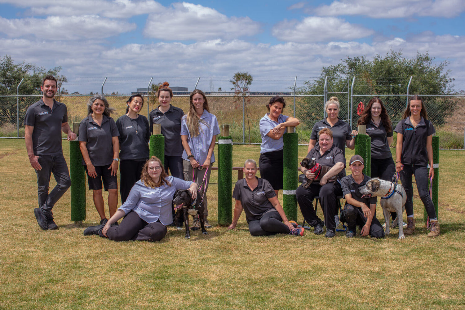 More Than Just an Animal Shelter