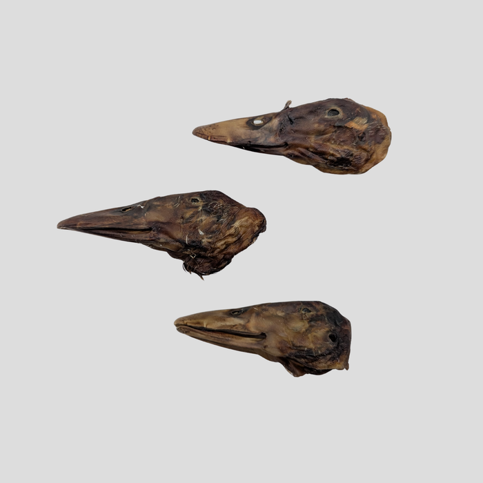 Duck Heads (Whole)