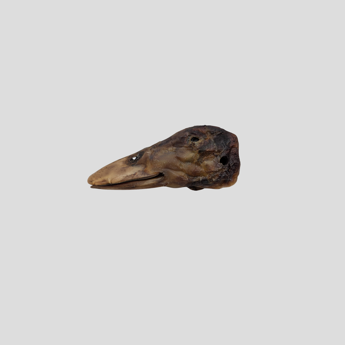 Duck Heads (Whole)