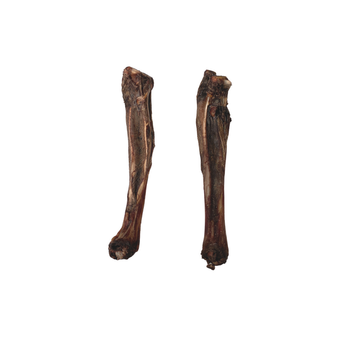 Kangaroo Dental Bone (Large)